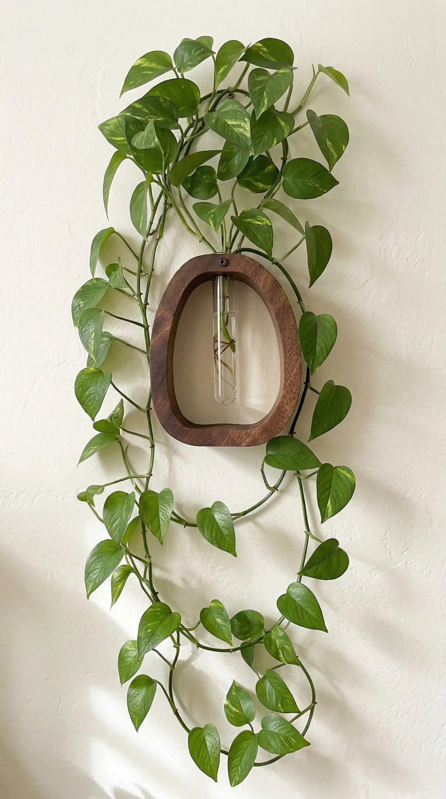 Wooden Hanging Planter